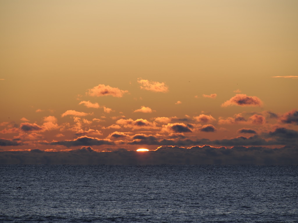 Breaching the Clouds by selkie