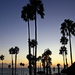 Palms at San Clemente by terryliv