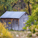 autumnal barn by aecasey
