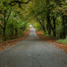 Road to Autumn  by rjb71