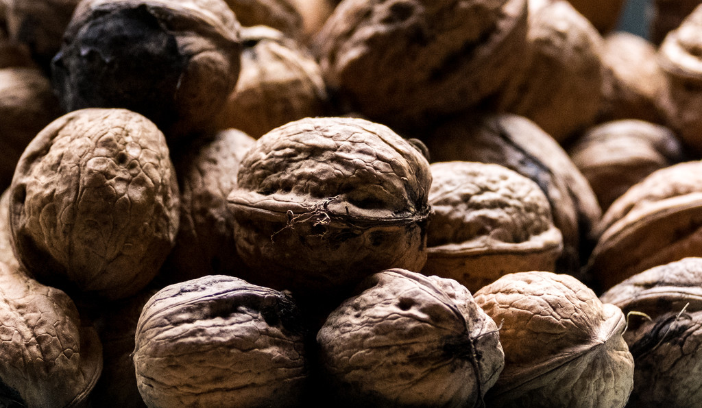 Walnuts... by vignouse