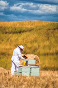 2nd Oct 2017 - Bee Keeper in Action Before the Storm