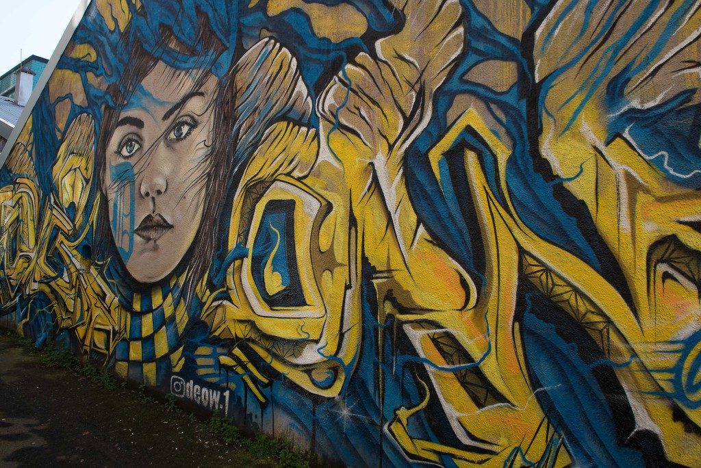 Dunedin Street Art 5 by yaorenliu