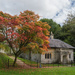 Cottage with red tree by jon_lip