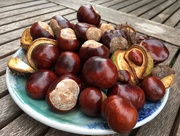 2nd Oct 2017 - Conkers