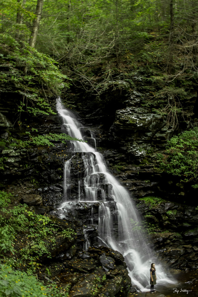 Erie Falls - Ricketts Glen State Park by skipt07