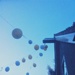 Party balloons by mastermek