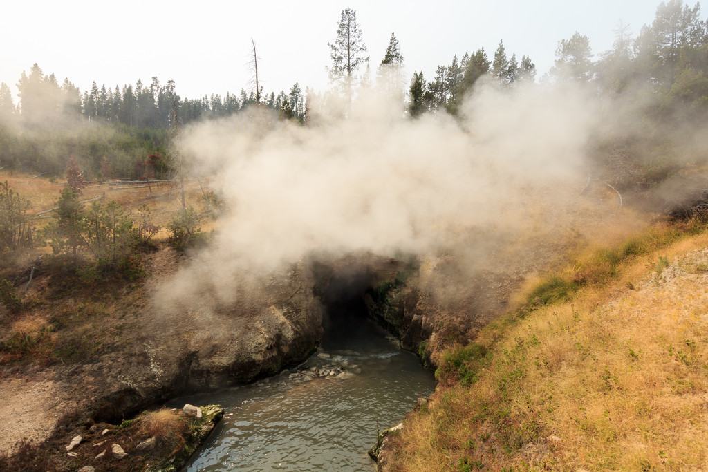 Dragon's Mouth Spring, Yellowstone by swchappell
