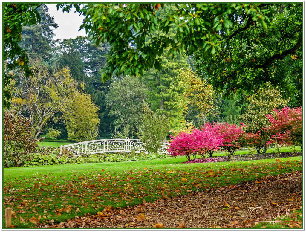 Woburn Abbey Gardens by carolmw