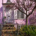 275 - Lilac Cottage by bob65