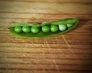 3rd Oct 2017 - Peas in a Pod