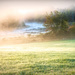 Another Misty Morning Shot by joansmor