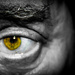 Eye of the beholder by swillinbillyflynn