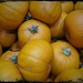 Pumpkins  by beryl
