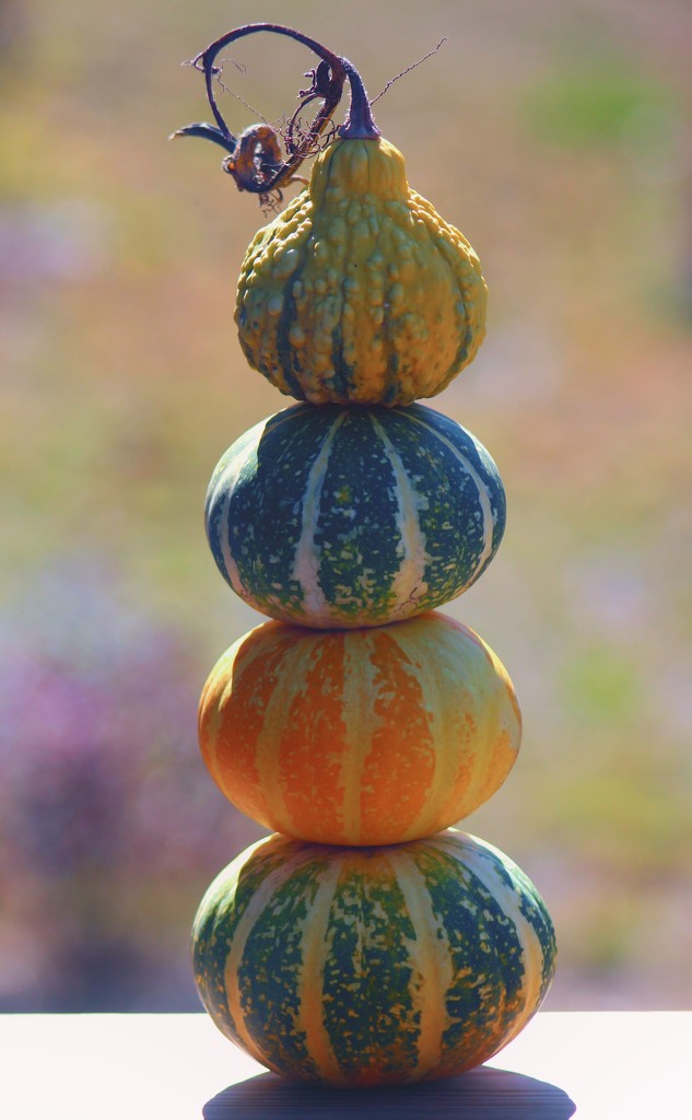 Gourd Cairn by paintdipper