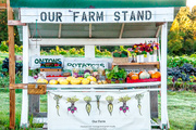 4th Oct 2017 - Farm Stand