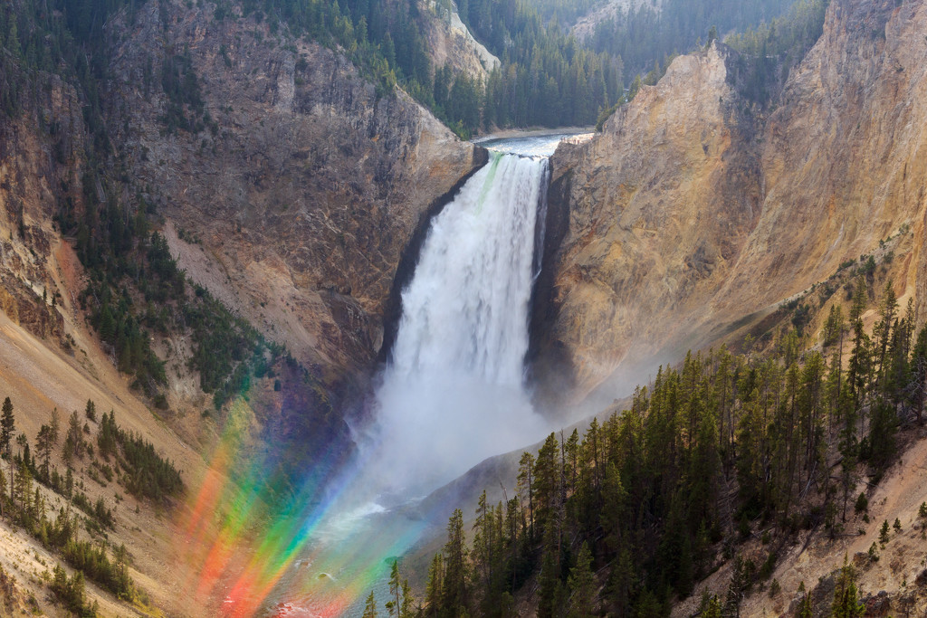 Lower Falls, Yellowstone National Park by swchappell