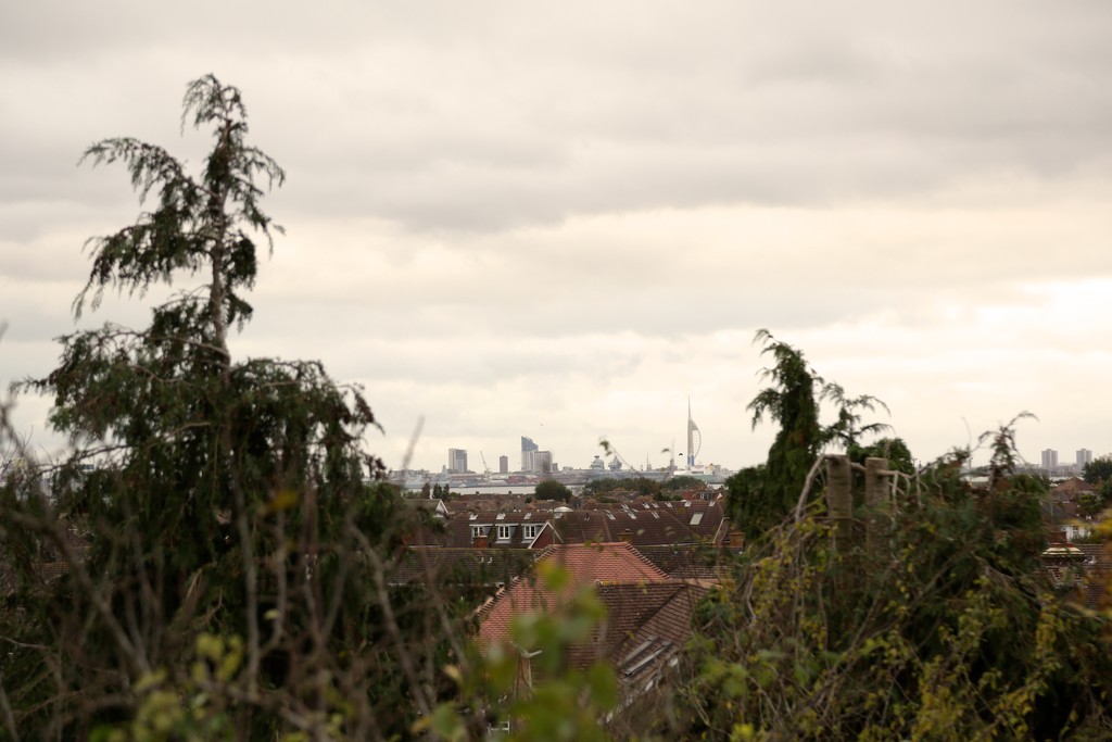 Portsmouth Through The Trees by davemockford