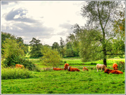 5th Oct 2017 - Pastoral Scene