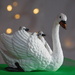  Swan and bokeh by 365anne