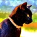 Love Our Black Kitty, Kizz by lynnz