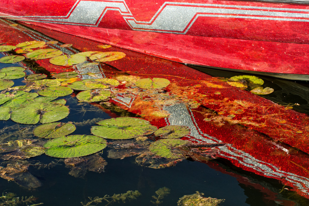Boat and Water Lilies by farmreporter
