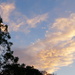 Morning Cloud by meotzi