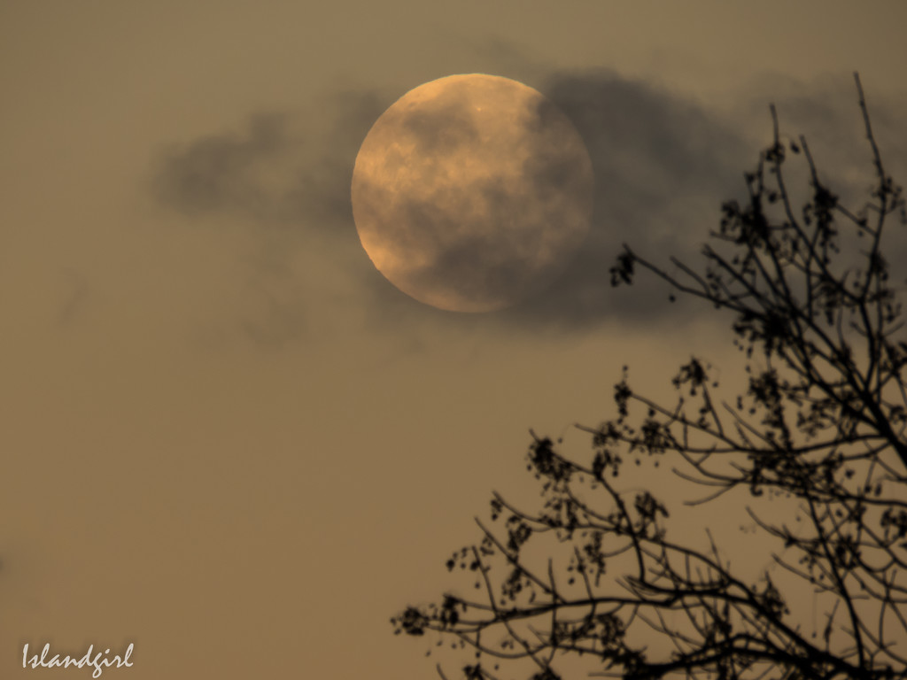 The Moon this morning by radiogirl