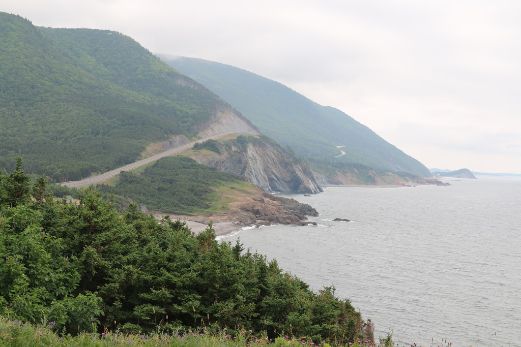 Cape Breton Highlands by hellie