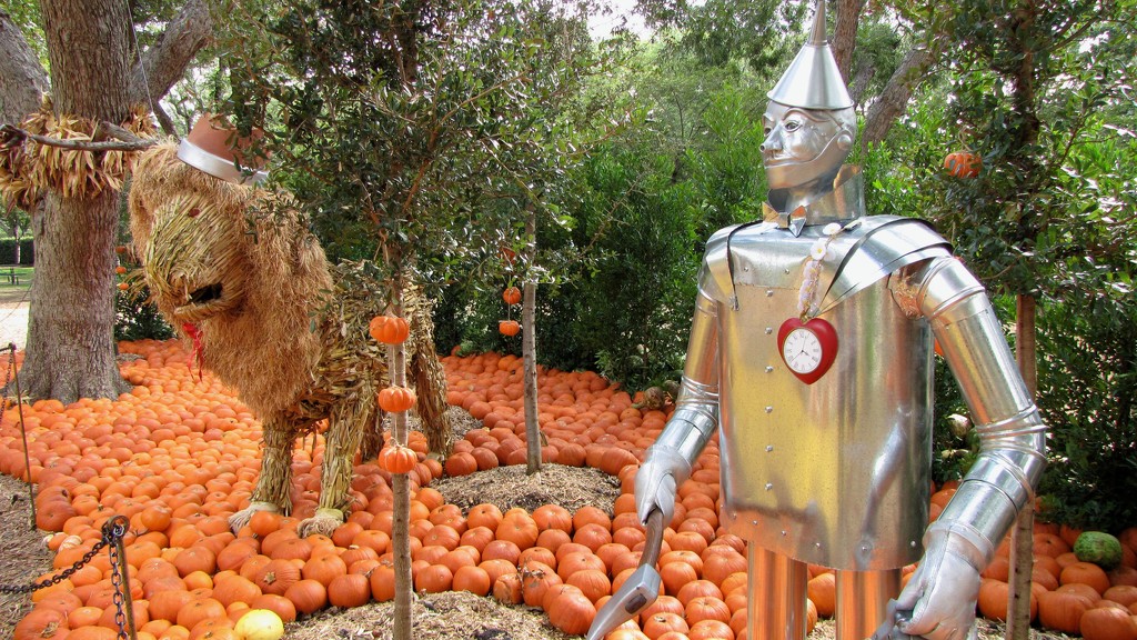 The Tin Man by 365projectorgkaty2