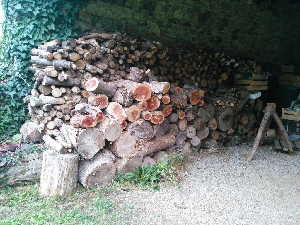 Winter logs by jmdspeedy