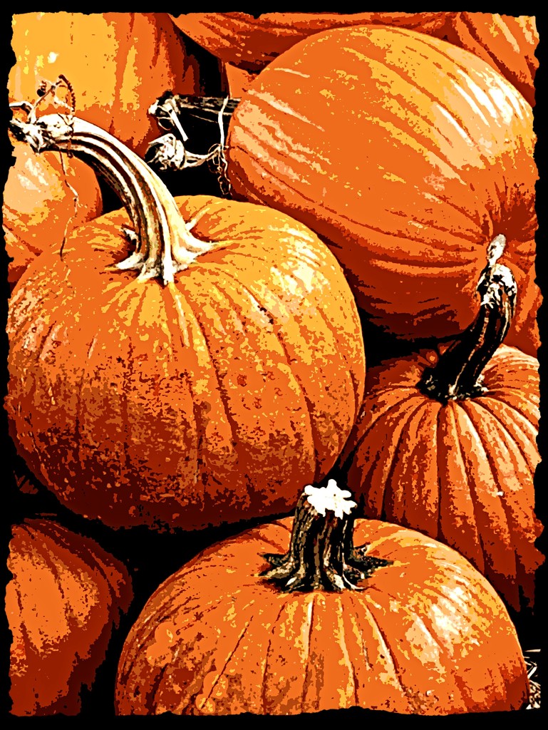Pumpkin Time by peggysirk