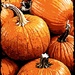 Pumpkin Time by peggysirk