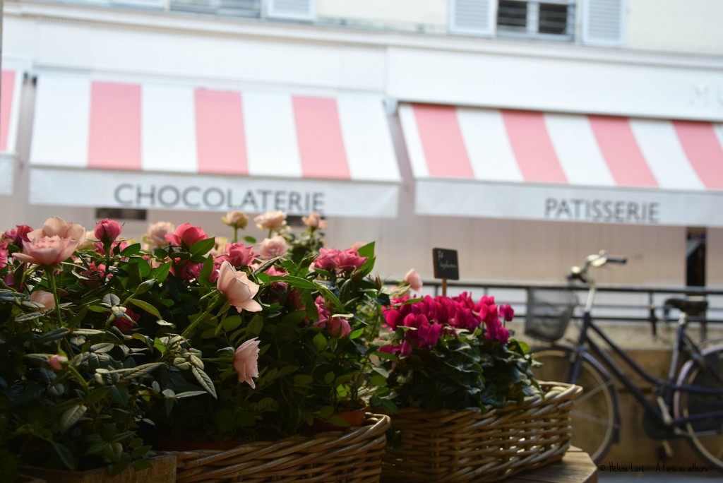 Paris in pink by parisouailleurs