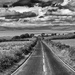 276/365 - The Long Road by wag864