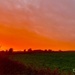 Orange sky by 365projectdrewpdavies