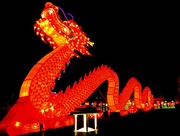 7th Oct 2017 - Chinese Dragon