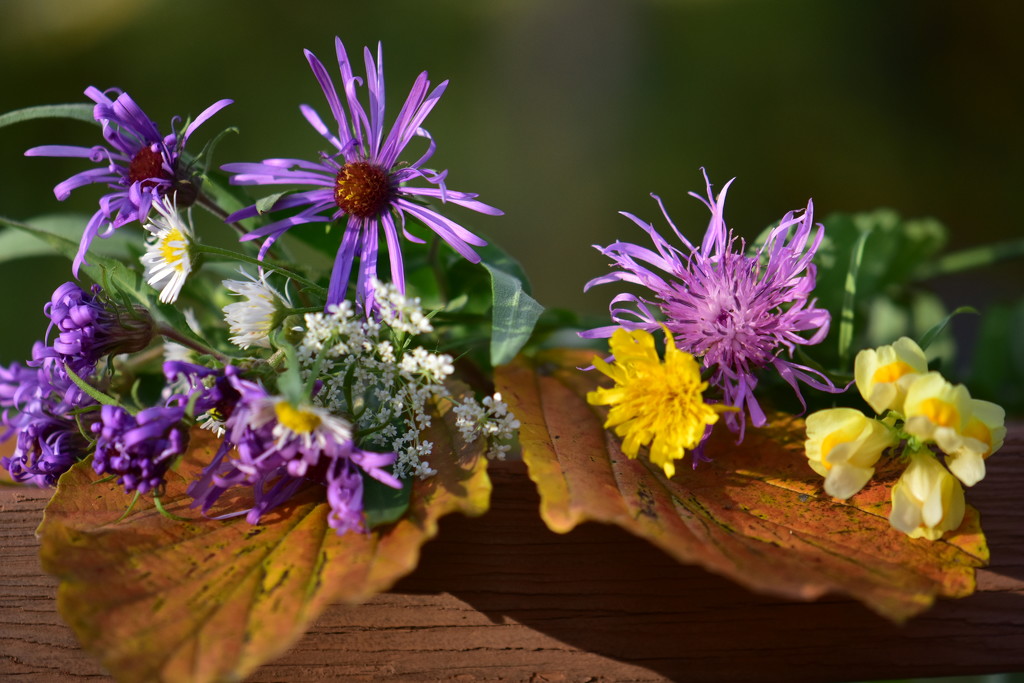 Autumn Bouquet by jayberg