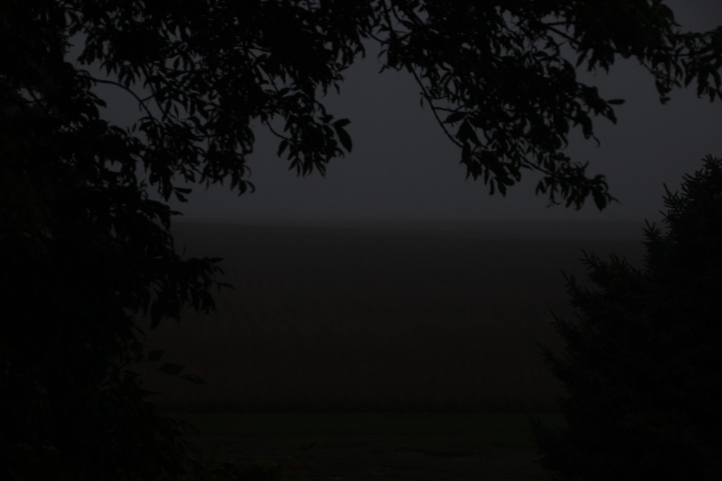 Foggy Evening by bjchipman