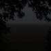 Foggy Evening by bjchipman