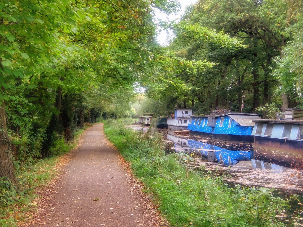 Autumn along the canal by mattjcuk