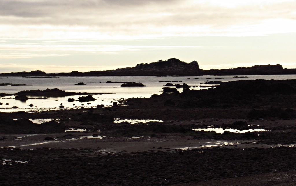 Low tide on the Northern coast of Tasmania. by robz