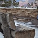 A bench at the Grand Canyon by dora