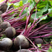 Beets by novab