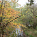 Creek Landscape by rminer