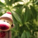 Sock Monkey by juletee