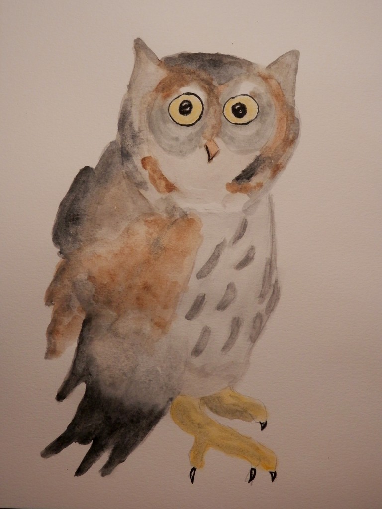 screech owl watercolor by julie