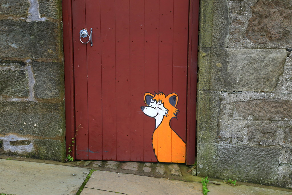 Shetland Fox by lifeat60degrees