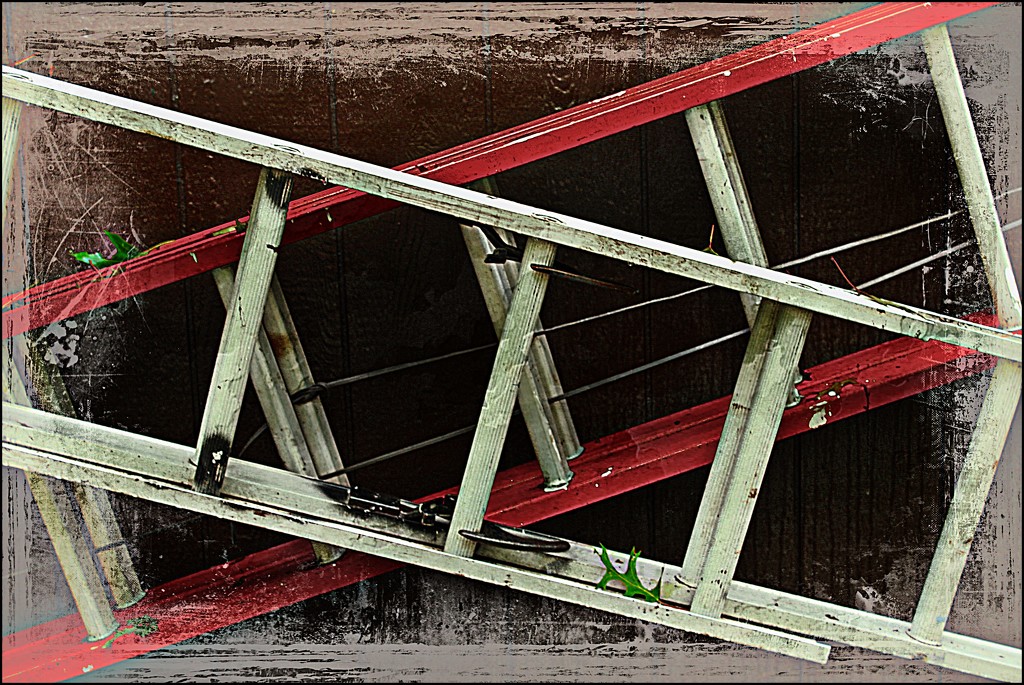 Criss-crossed Ladders by olivetreeann