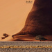 Sand dunes  by dkbarnett